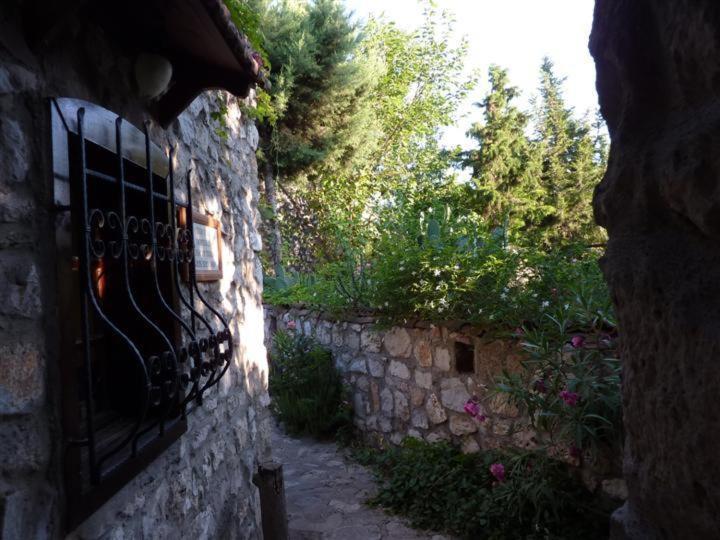 Medusa House Butik Hotel Didim Exterior photo